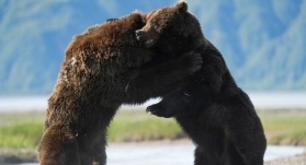 Великаны планеты 6 серия Великаны планеты 6 серия