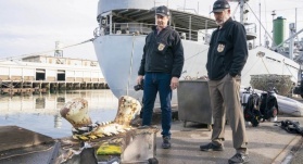 Морская полиция: Спецотдел 20 сезон 13 серия Морская полиция: Спецотдел 20 сезон 13 серия