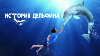История дельфина История дельфина