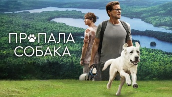 Пропала собака Пропала собака