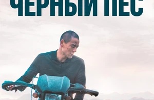 Чёрный пёс Чёрный пёс