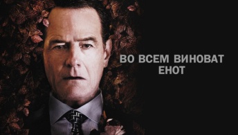 Во всем виноват енот Во всем виноват енот