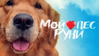 Мой пёс Руни Мой пёс Руни