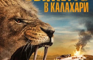 Выжить в Калахари Выжить в Калахари