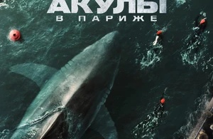 Акулы в Париже Акулы в Париже
