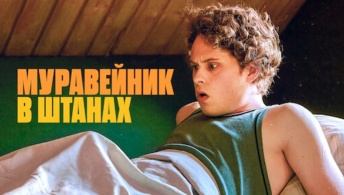 Муравейники в штанах Муравейники в штанах