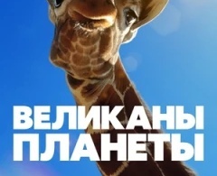 Великаны планеты Великаны планеты