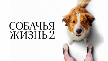Собачья жизнь 2 Собачья жизнь 2