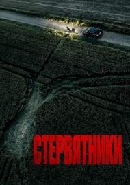 Стервятники Стервятники