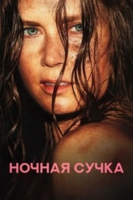 Ночная сучка Ночная сучка