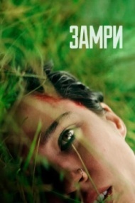 Замри Замри