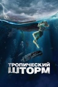 Тропический шторм Тропический шторм
