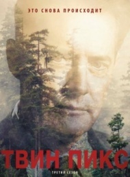 Твин Пикс 1 сезон Твин Пикс 1 сезон
